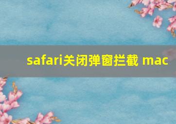 safari关闭弹窗拦截 mac